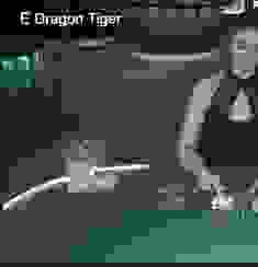 Dragon Tiger logo
