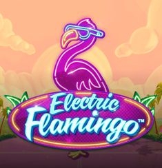 Electric Flamingo logo