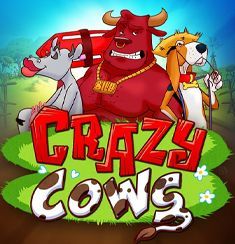 Crazy Cows logo