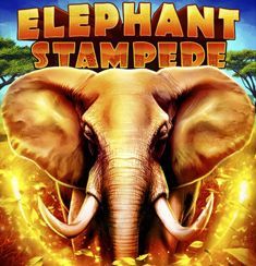 Elephant Stampede logo