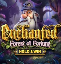 Enchanted Forest of Fortune  logo
