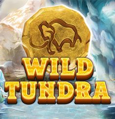 Wild Tundra logo