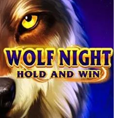 Wolf Night logo