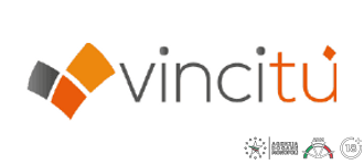 Vincitu