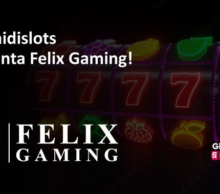 Giochi di Slot presenta: Felix Gaming