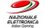 Nazionale Elettronica
