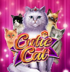 Cutie Cat