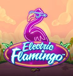 Electric Flamingo