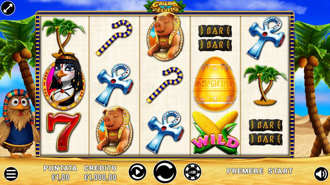 Gallina d'Egitto Classic.jpg