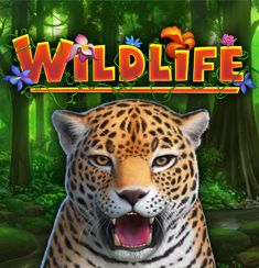 Wildlife