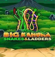 Big Kahuna Snakes & Ladders
