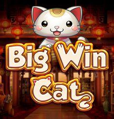 Big Win Cat