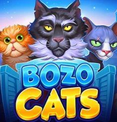Bozo Cats