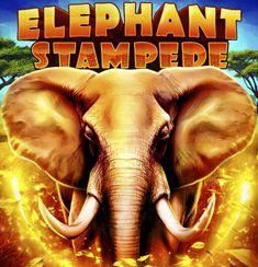 Elephant Stampede slot game