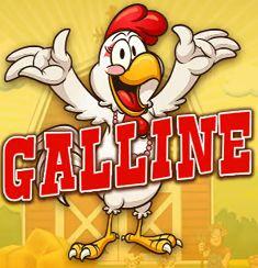 Galline