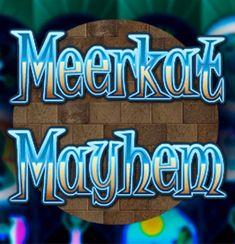 Meerkat Mayhem