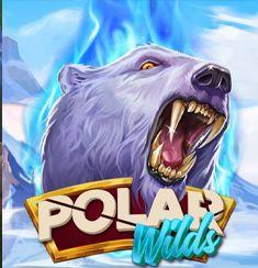 Polar Wilds slot game