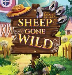Sheep Gone Wild