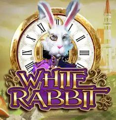 White Rabbit