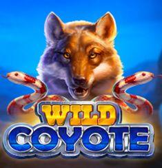 Wild Coyote