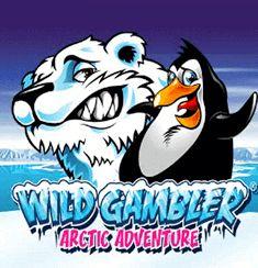 Wild Gambler Arctic Adventure