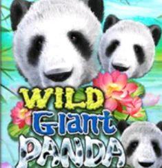 Wild Giant Panda slot game