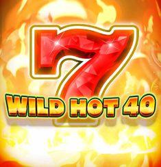 Wild Hot 40 slot game