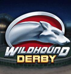 WildHound Derby