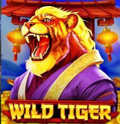 Wild Tiger slot game