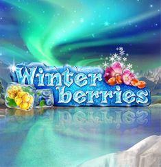 Winter Berries
