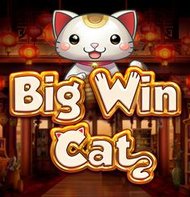 Big Win Cat
