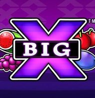 BigX