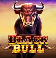 Black Bull