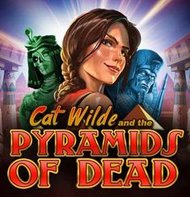 Cat Wilde