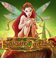 Enchanted Meadow