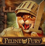Feline Fury