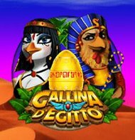 Gallina d'Egitto