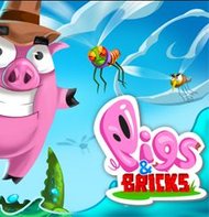 Pigs and Bricks