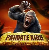 Primate King