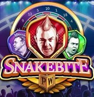 Snakebite