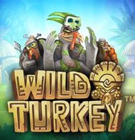 Wild Turkey